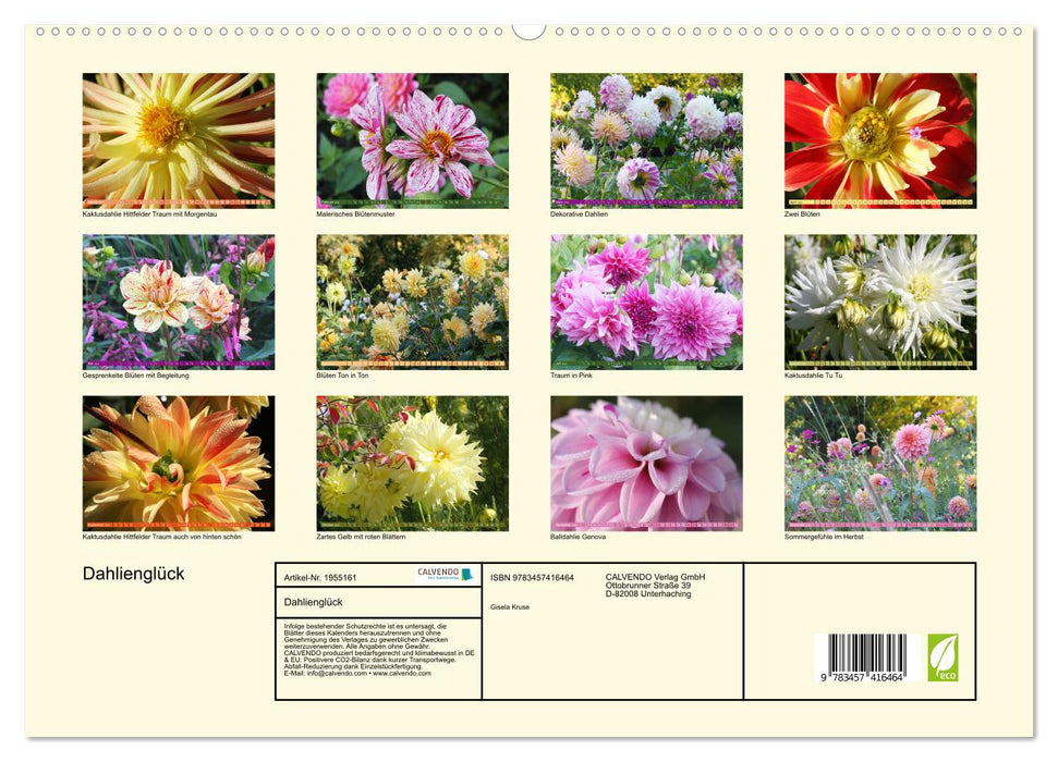 Dahlienglück (CALVENDO Premium Wandkalender 2026)