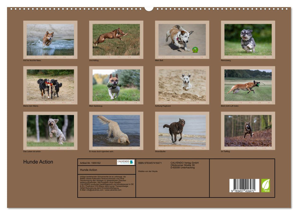 Hunde Action (CALVENDO Premium Wandkalender 2026)