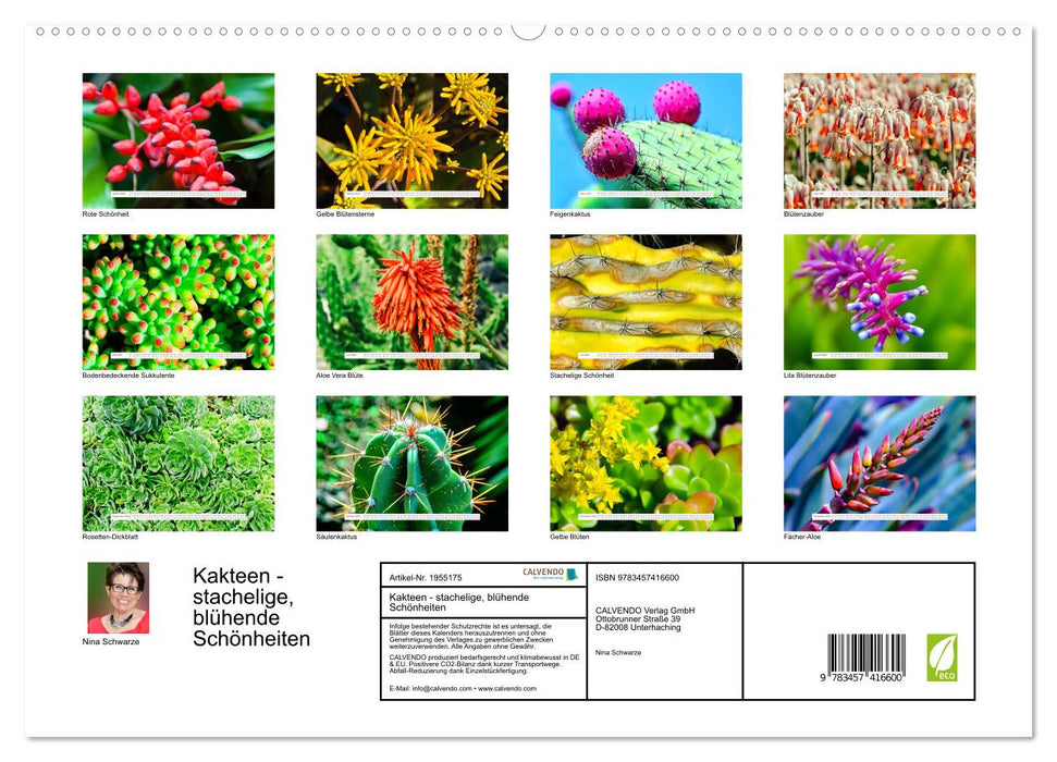 Kakteen - stachelige, blühende Schönheiten (CALVENDO Premium Wandkalender 2026)