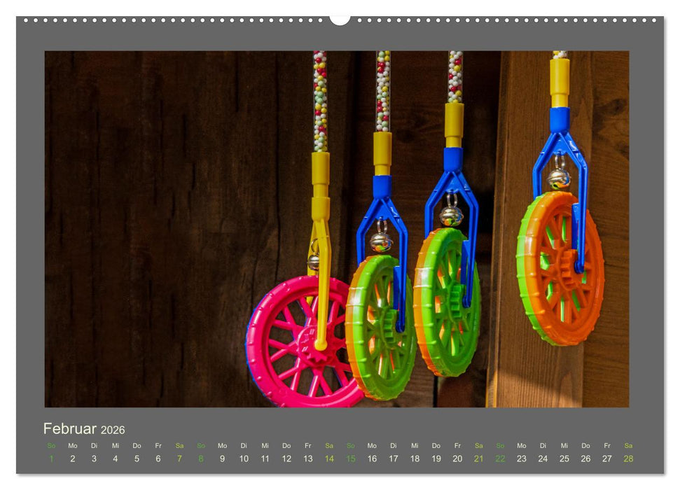 Das Jahr ist bunt. Farbe, Freude und Glück für das ganze Jahr. (CALVENDO Premium Wandkalender 2026)