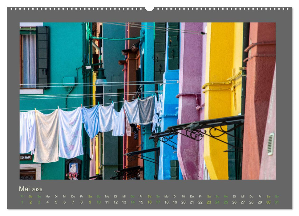 Das Jahr ist bunt. Farbe, Freude und Glück für das ganze Jahr. (CALVENDO Premium Wandkalender 2026)