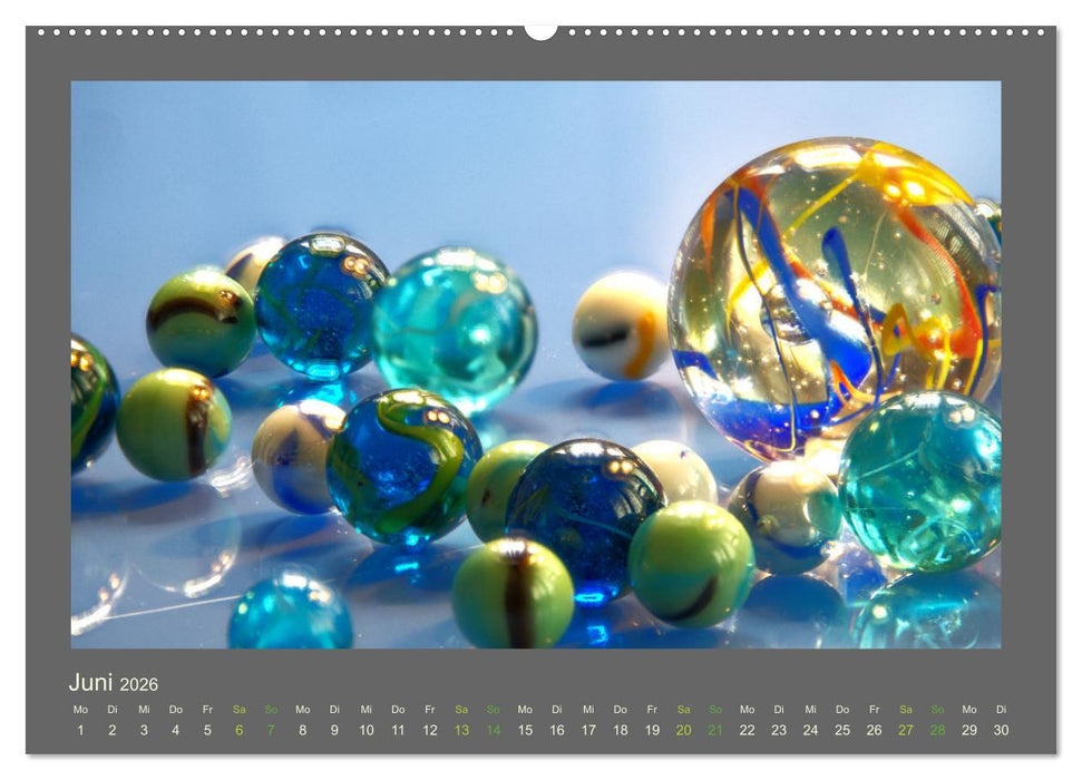 Das Jahr ist bunt. Farbe, Freude und Glück für das ganze Jahr. (CALVENDO Premium Wandkalender 2026)