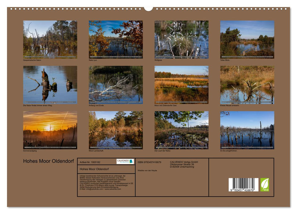 Hohes Moor Oldendorf (CALVENDO Premium Wandkalender 2026)