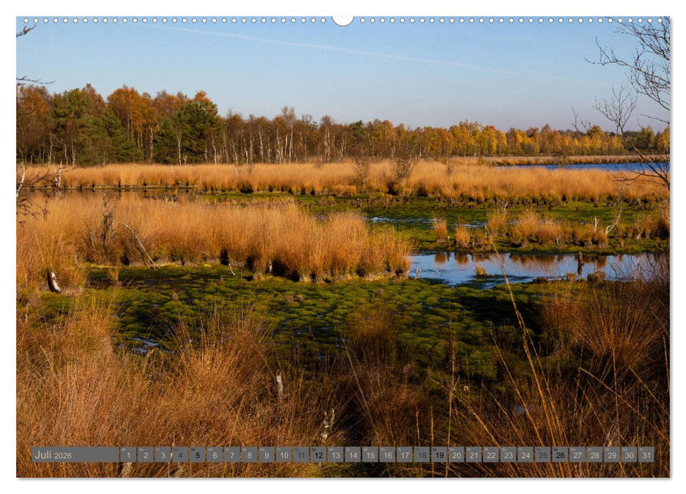 Hohes Moor Oldendorf (CALVENDO Premium Wandkalender 2026)