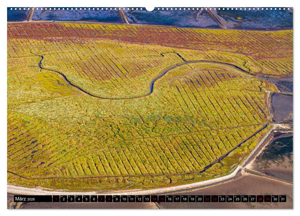 Das Wattenmeer aus der Vogelperspektive (CALVENDO Premium Wandkalender 2026)