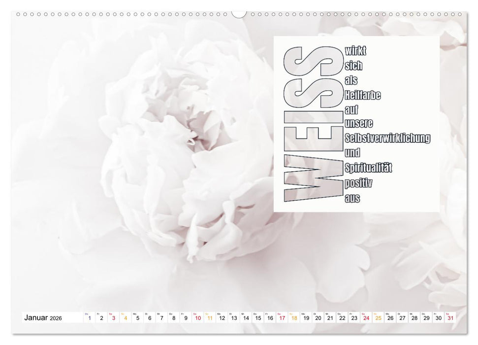 FARBEN Die Macht der heilenden Farben (CALVENDO Premium Wandkalender 2026)