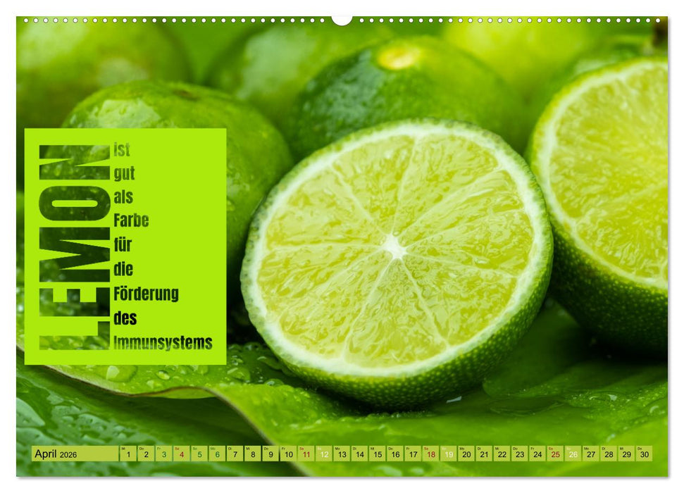 FARBEN Die Macht der heilenden Farben (CALVENDO Premium Wandkalender 2026)