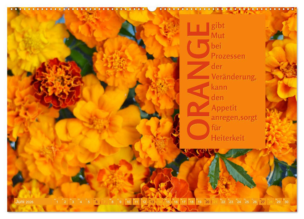 FARBEN Die Macht der heilenden Farben (CALVENDO Premium Wandkalender 2026)