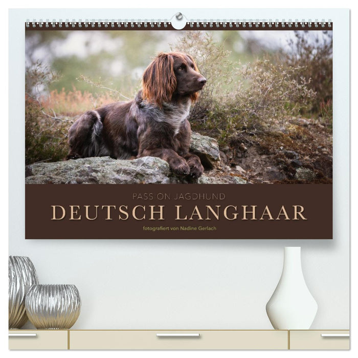 Passion Jagdhund - Deutsch Langhaar (CALVENDO Premium Wandkalender 2026)