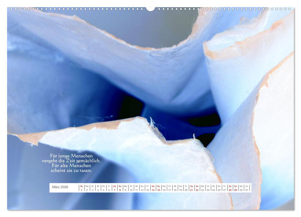 Über die Zeit - Nachdenk-Kalender (CALVENDO Premium Wandkalender 2026)