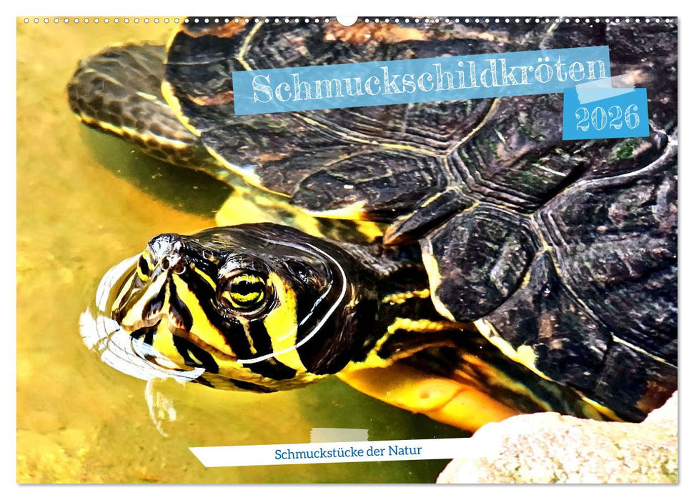 Schmuckschildkröten - Schmuckstücke der Natur (CALVENDO Wandkalender 2026)