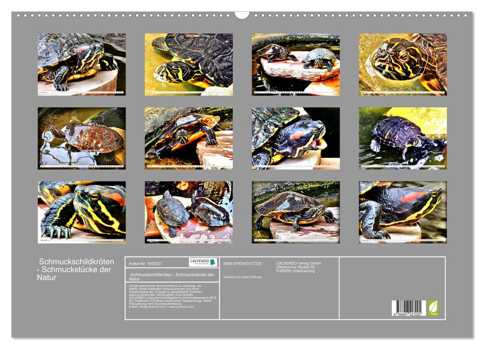 Schmuckschildkröten - Schmuckstücke der Natur (CALVENDO Wandkalender 2026)