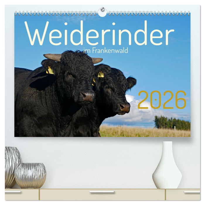 Weiderinder im Frankenwald (CALVENDO Premium Wandkalender 2026)