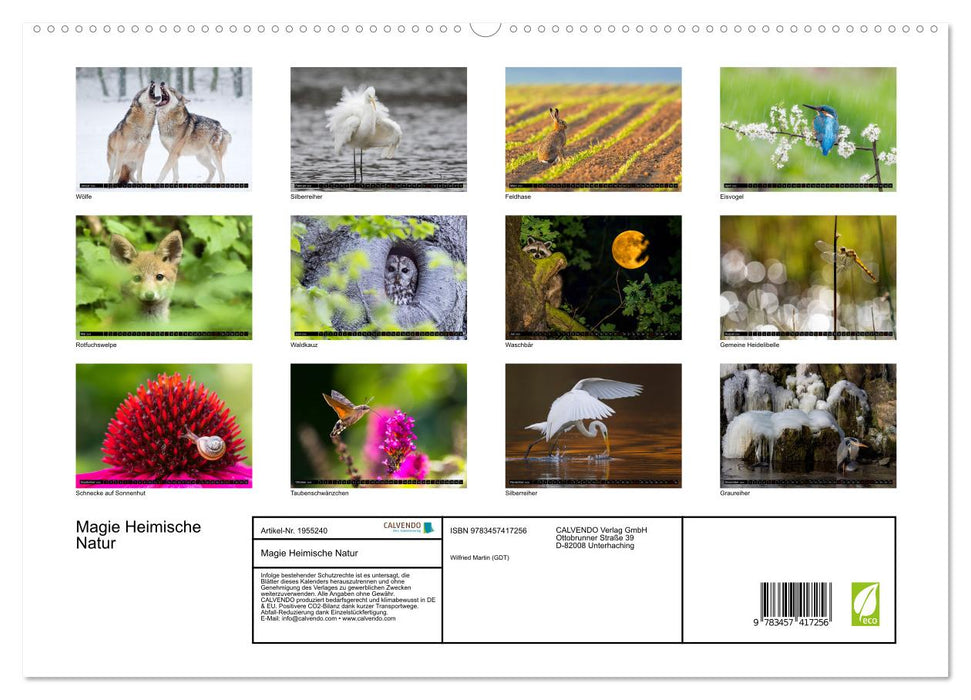 Magie Heimische Natur (CALVENDO Premium Wandkalender 2026)