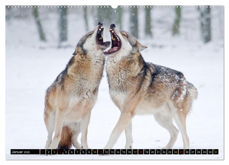 Magie Heimische Natur (CALVENDO Premium Wandkalender 2026)