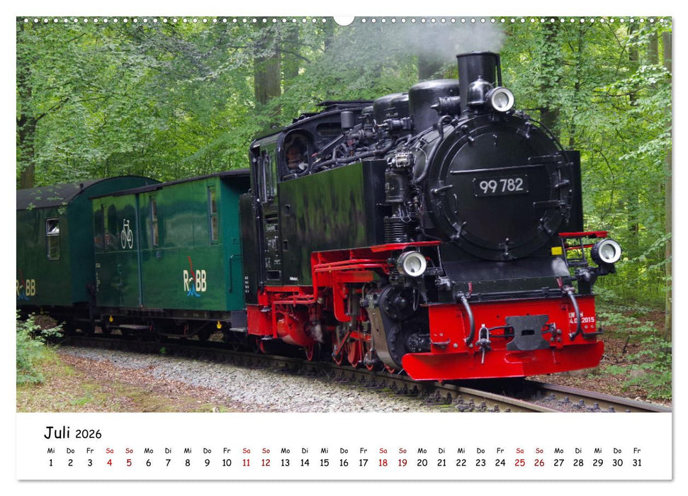 Rügens "rasender Roland" (CALVENDO Premium Wandkalender 2026)
