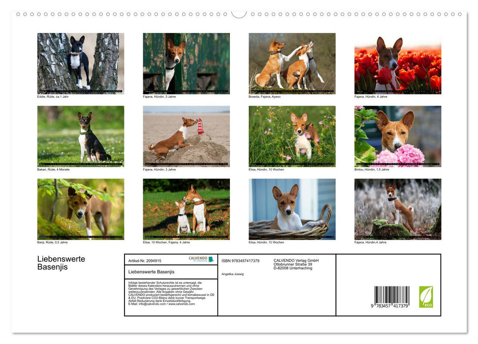 Liebenswerte Basenjis (CALVENDO Premium Wandkalender 2026)