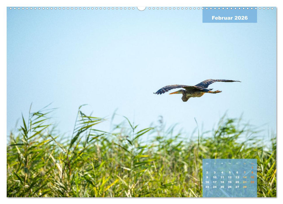 Wildes Donaudelta (CALVENDO Premium Wandkalender 2026)