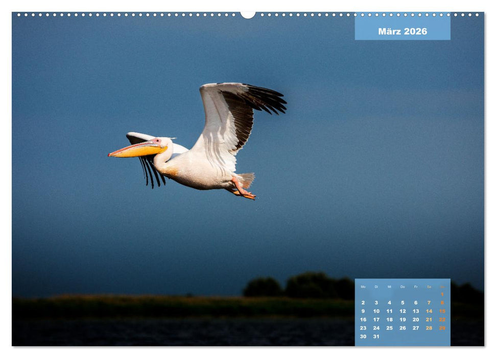 Wildes Donaudelta (CALVENDO Premium Wandkalender 2026)