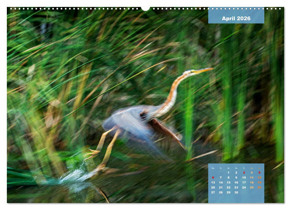 Wildes Donaudelta (CALVENDO Premium Wandkalender 2026)