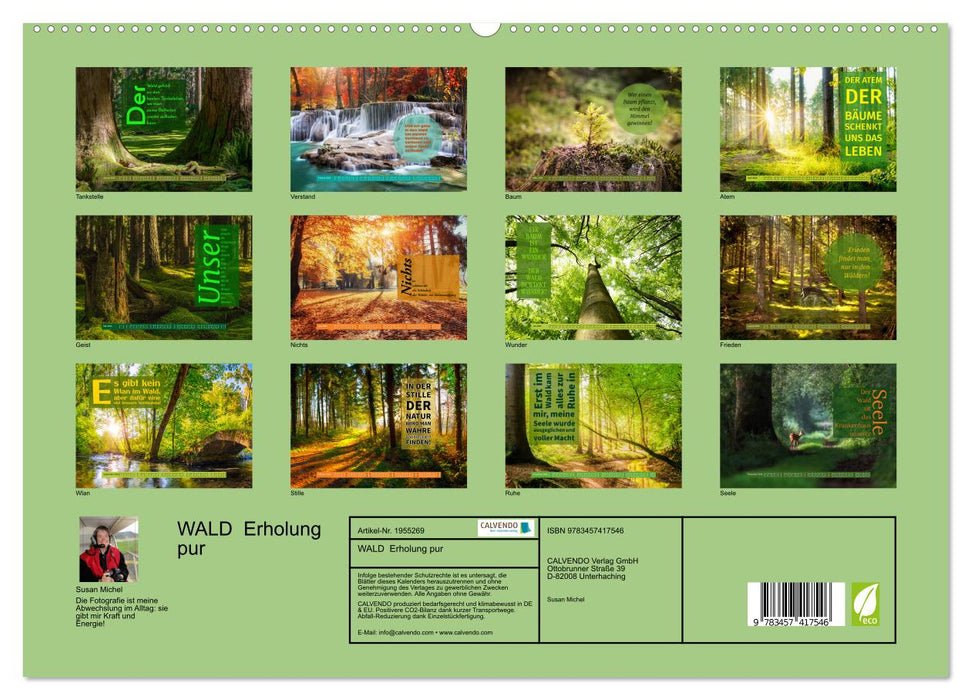 WALD Erholung pur (CALVENDO Premium Wandkalender 2026)