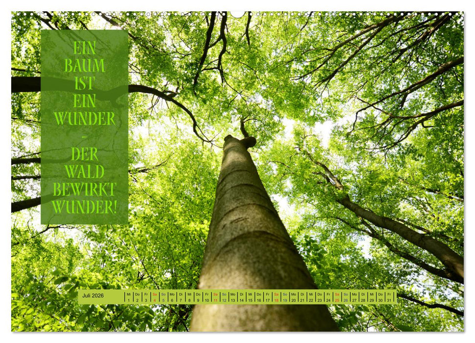 WALD Erholung pur (CALVENDO Premium Wandkalender 2026)