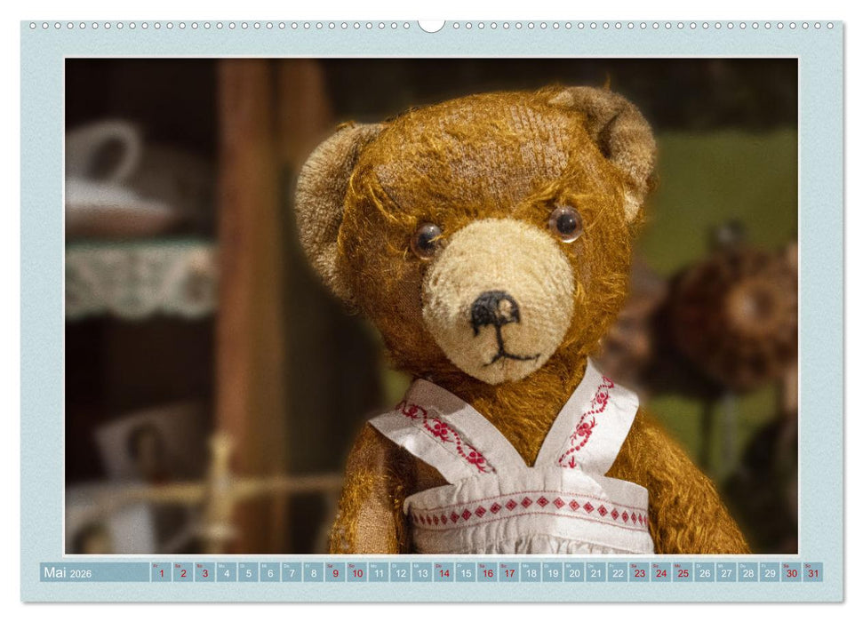 Die Puppengalerie (CALVENDO Premium Wandkalender 2026)