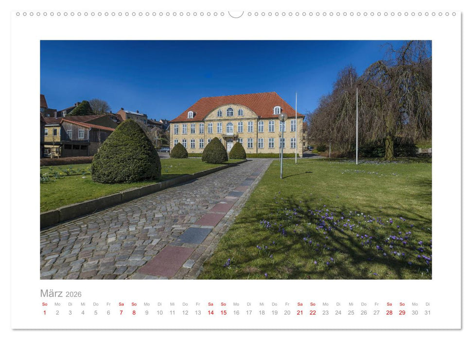 Schleswiger Ansichten (CALVENDO Premium Wandkalender 2026)