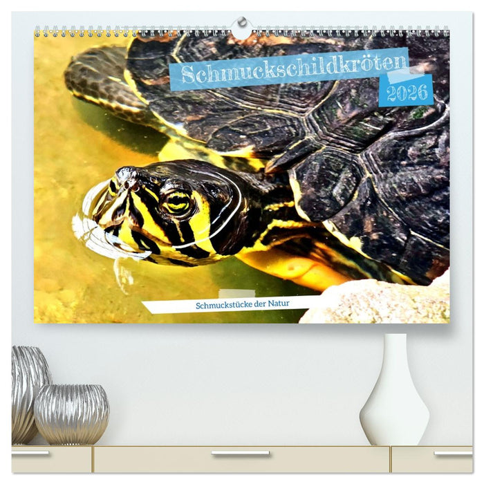 Schmuckschildkröten - Schmuckstücke der Natur (CALVENDO Premium Wandkalender 2026)