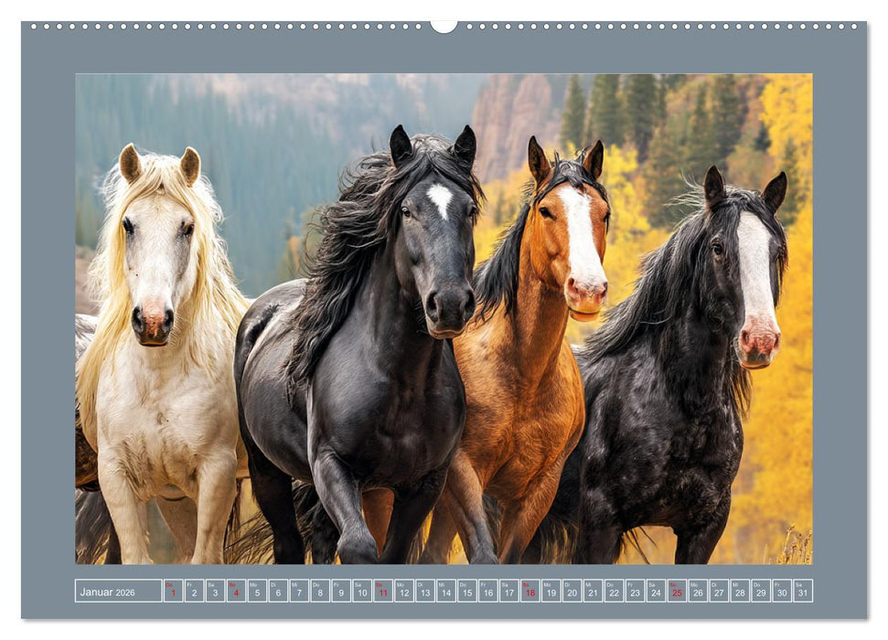 Mustangs. Pferde in ihrer wildesten Schönheit (CALVENDO Premium Wandkalender 2026)