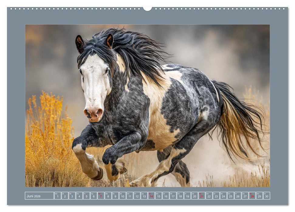 Mustangs. Pferde in ihrer wildesten Schönheit (CALVENDO Premium Wandkalender 2026)