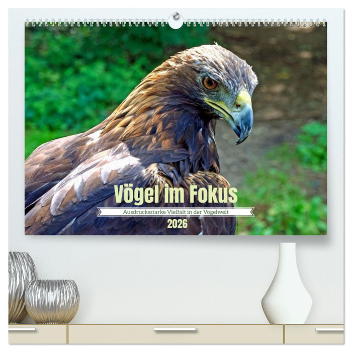 Vögel im Fokus - Ausdrucksstarke Vielfalt in der Vogelwelt (CALVENDO Premium Wandkalender 2026)