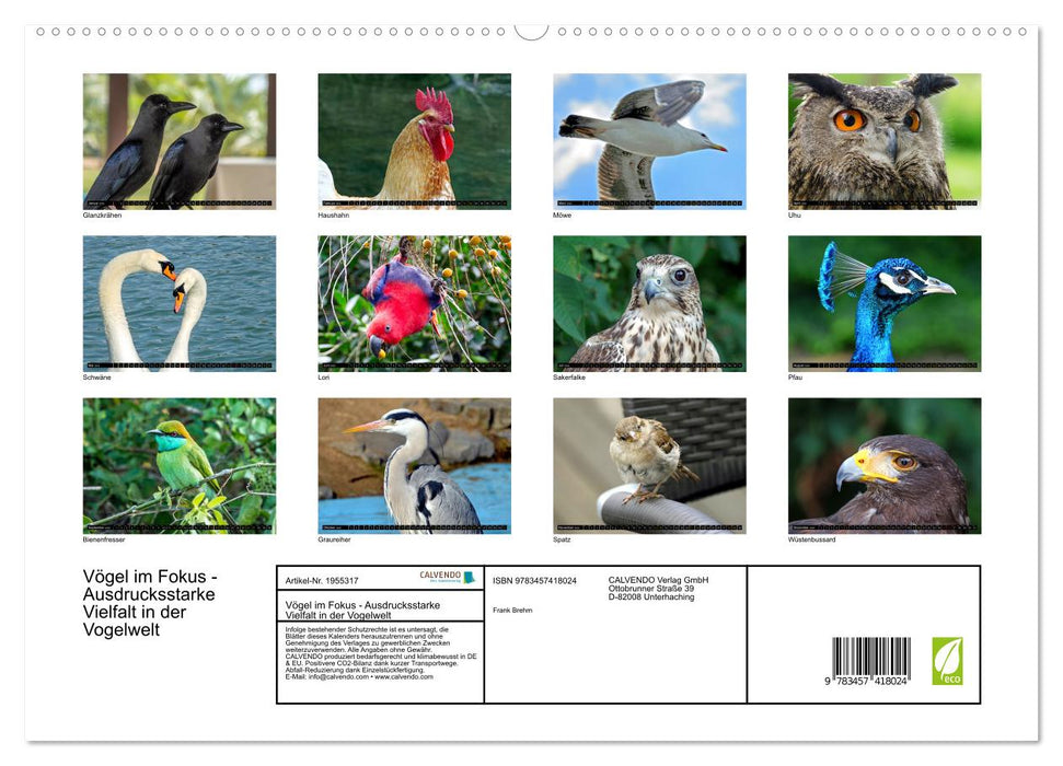 Vögel im Fokus - Ausdrucksstarke Vielfalt in der Vogelwelt (CALVENDO Premium Wandkalender 2026)
