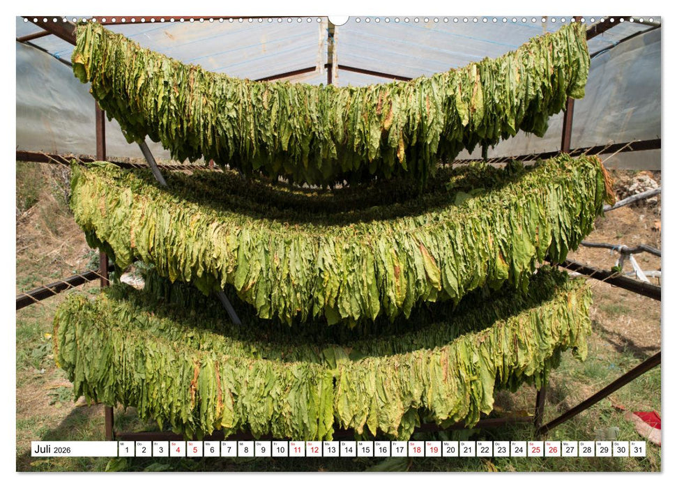 Nordmazedonien - Streifzüge durch eine nahezu unbekannte Kulturlandschaft (CALVENDO Premium Wandkalender 2026)