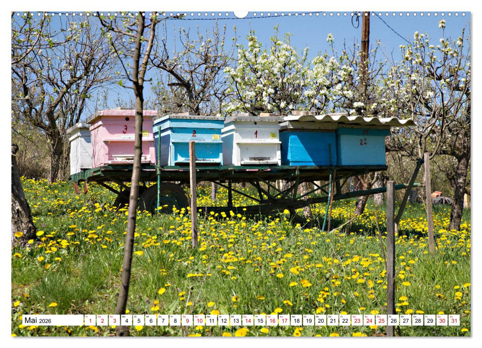 Serbien - Streifzüge durch eine atemberaubende Kulturlandschaft (CALVENDO Premium Wandkalender 2026)