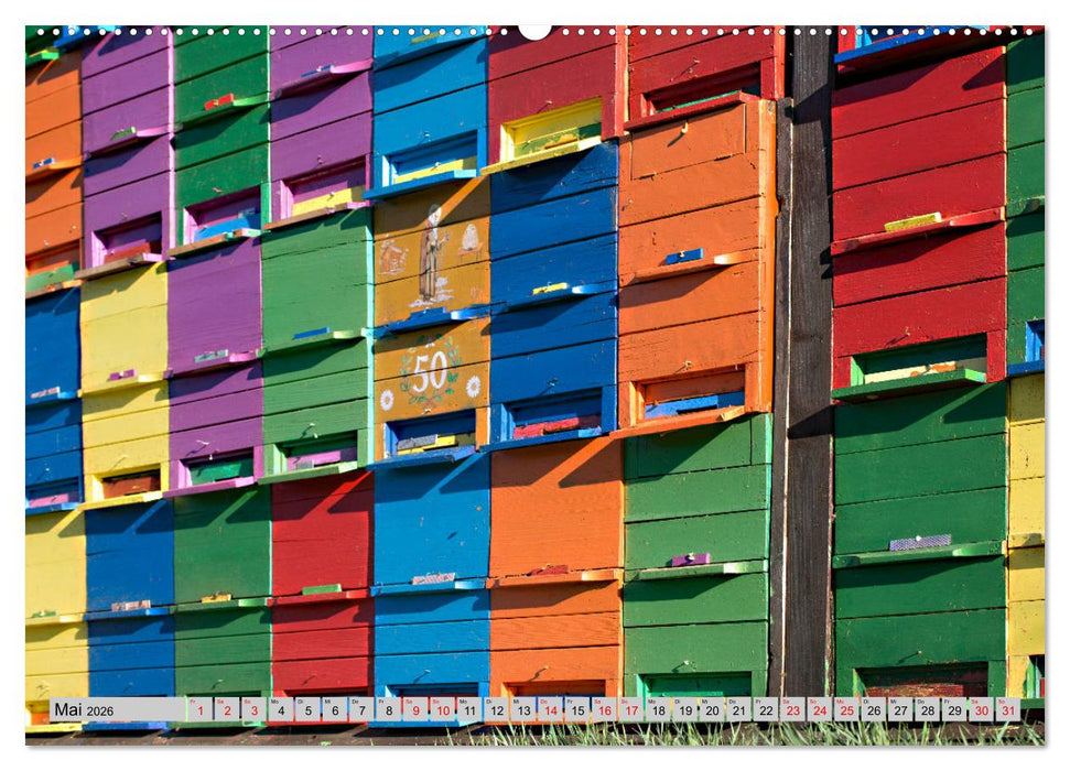 Slowenien - Streifzüge durch atemberaubende Küsten- und Berglandschaften (CALVENDO Premium Wandkalender 2026)