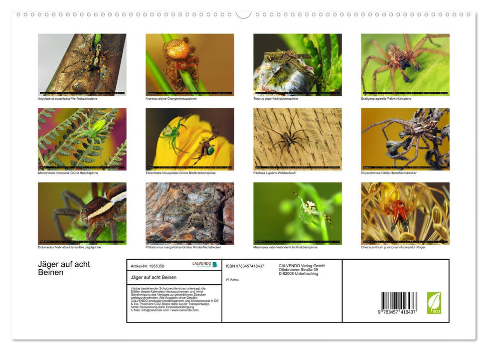 Jäger auf acht Beinen (CALVENDO Premium Wandkalender 2026)