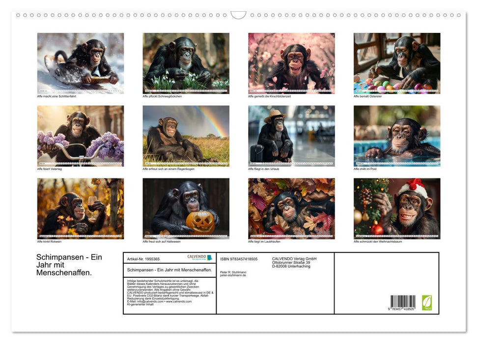 Schimpansen - Ein Jahr mit Menschenaffen. (CALVENDO Wandkalender 2026)