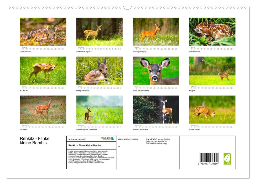 Rehkitz - Flinke kleine Bambis. (CALVENDO Premium Wandkalender 2026)