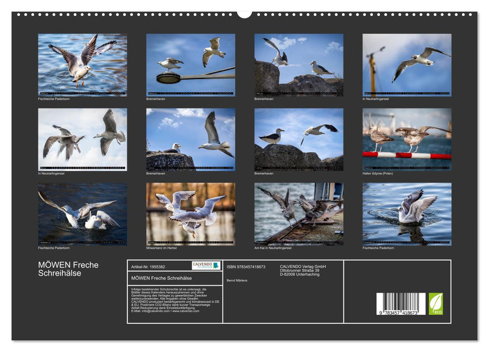 MÖWEN Freche Schreihälse (CALVENDO Premium Wandkalender 2026)