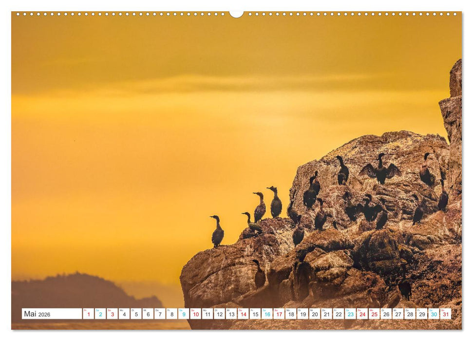 Kanadas Westen - Abenteuer mit dem Wohnmobil - British Columbia & Alberta (CALVENDO Premium Wandkalender 2026)