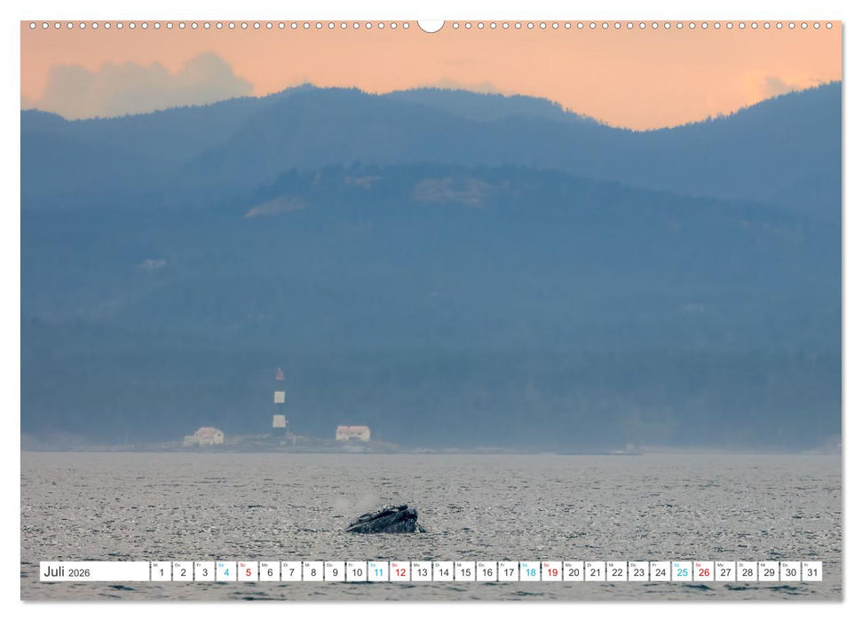 Kanadas Westen - Abenteuer mit dem Wohnmobil - British Columbia & Alberta (CALVENDO Premium Wandkalender 2026)