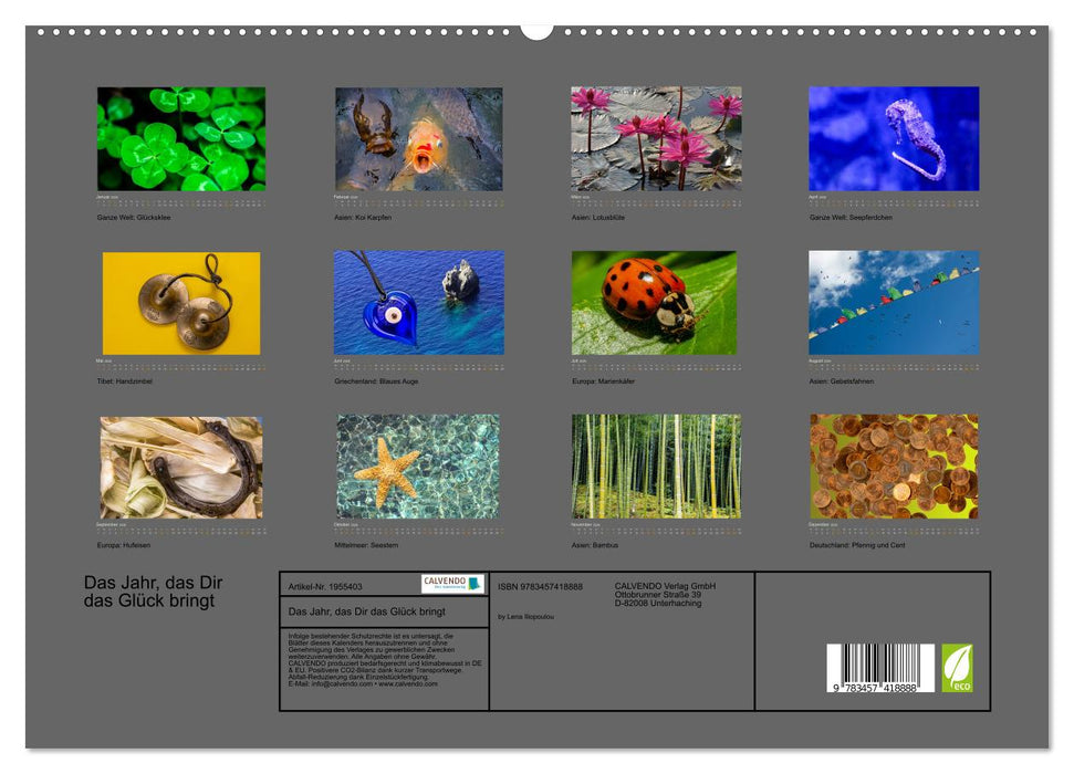 Das Jahr, das Dir das Glück bringt (CALVENDO Premium Wandkalender 2026)