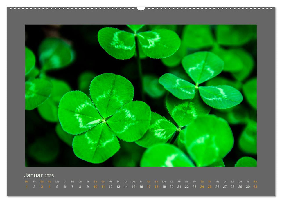 Das Jahr, das Dir das Glück bringt (CALVENDO Premium Wandkalender 2026)