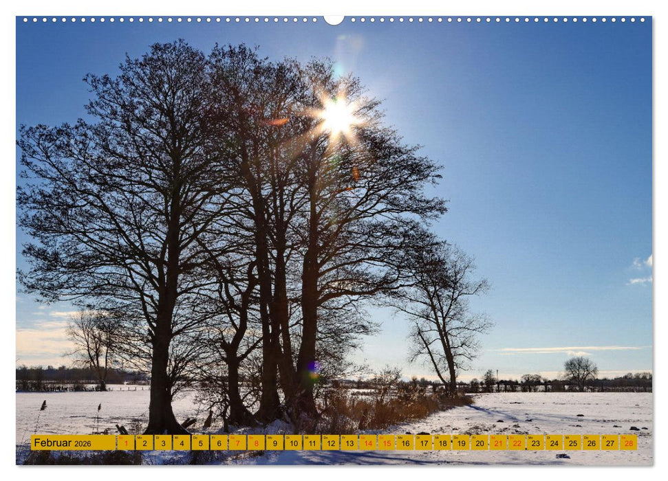 OLDENBURG OLLENBORG (CALVENDO Premium Wandkalender 2026)