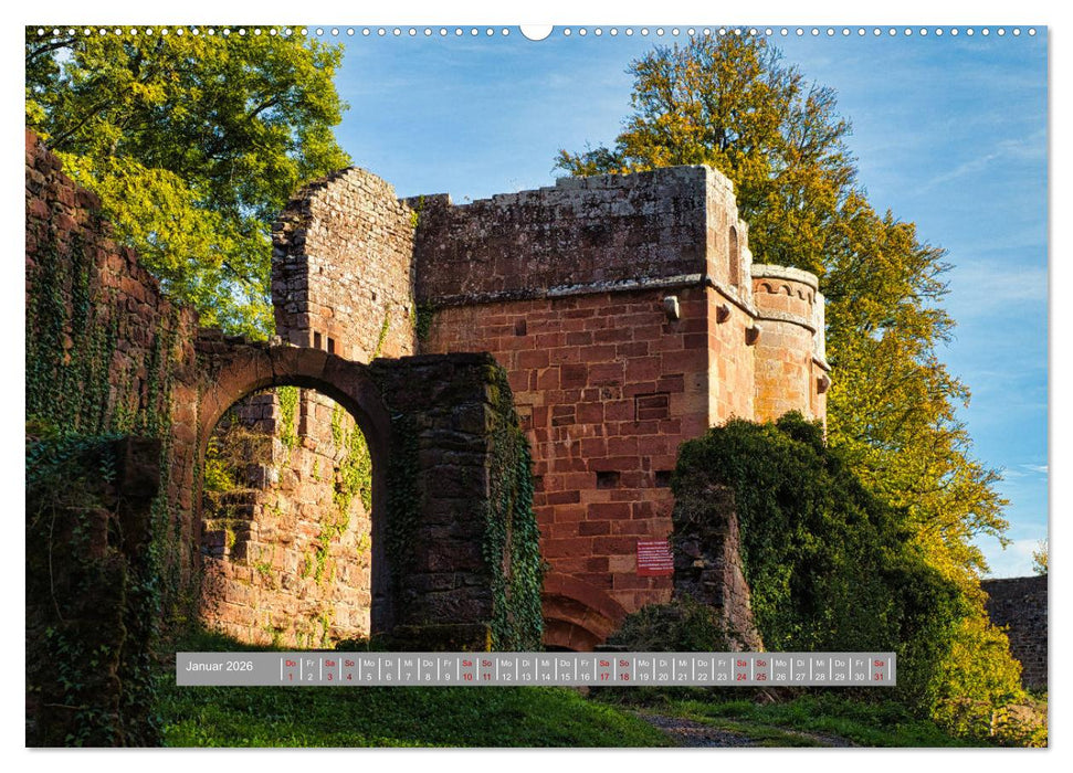Burg Wildenberg (CALVENDO Premium Wandkalender 2026)