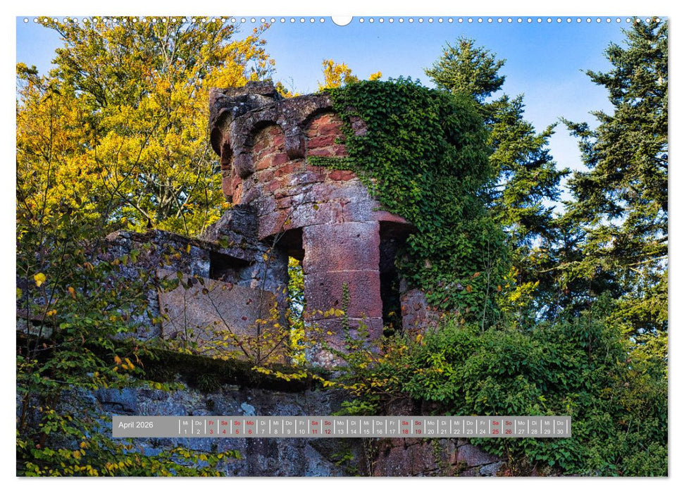 Burg Wildenberg (CALVENDO Premium Wandkalender 2026)