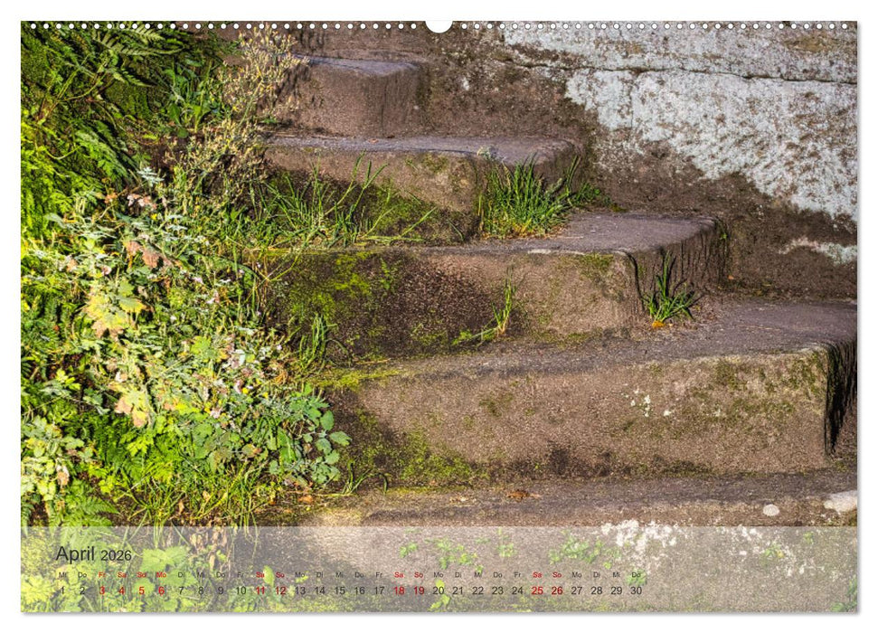 Felsenburg Rotenhan (CALVENDO Premium Wandkalender 2026)