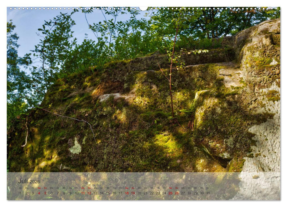 Felsenburg Rotenhan (CALVENDO Premium Wandkalender 2026)