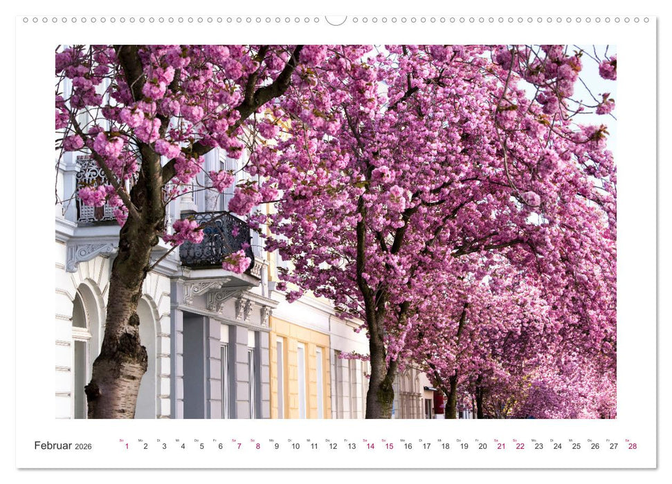 Japanische Kirschblüte in Bonn (CALVENDO Premium Wandkalender 2026)